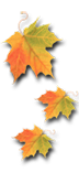 just leaves